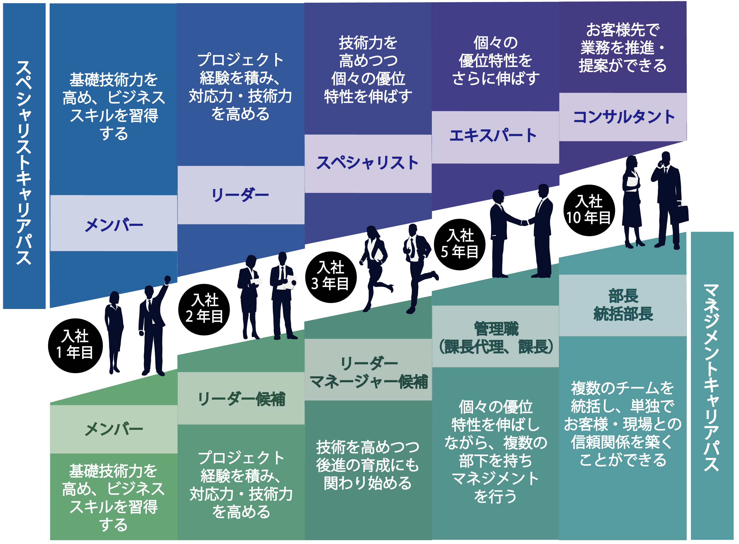 キャリアパス図